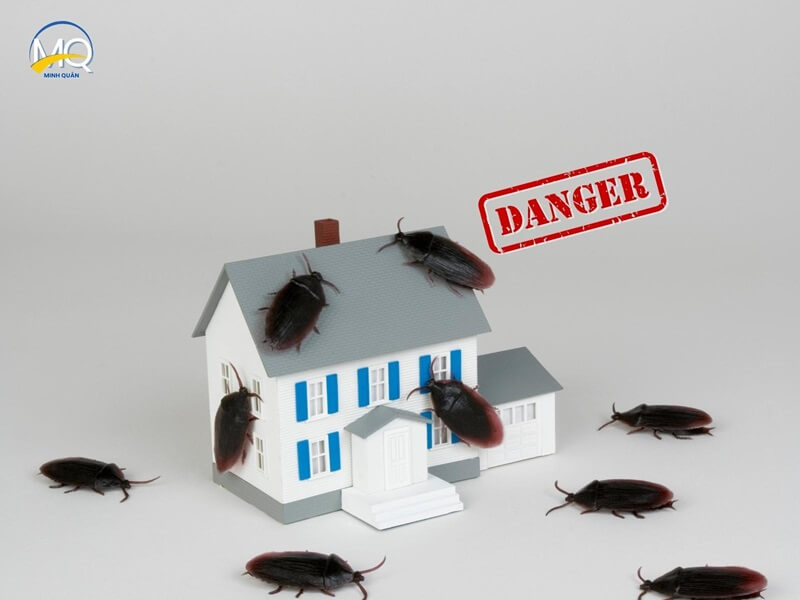 cach nhan biet co gian vao nha