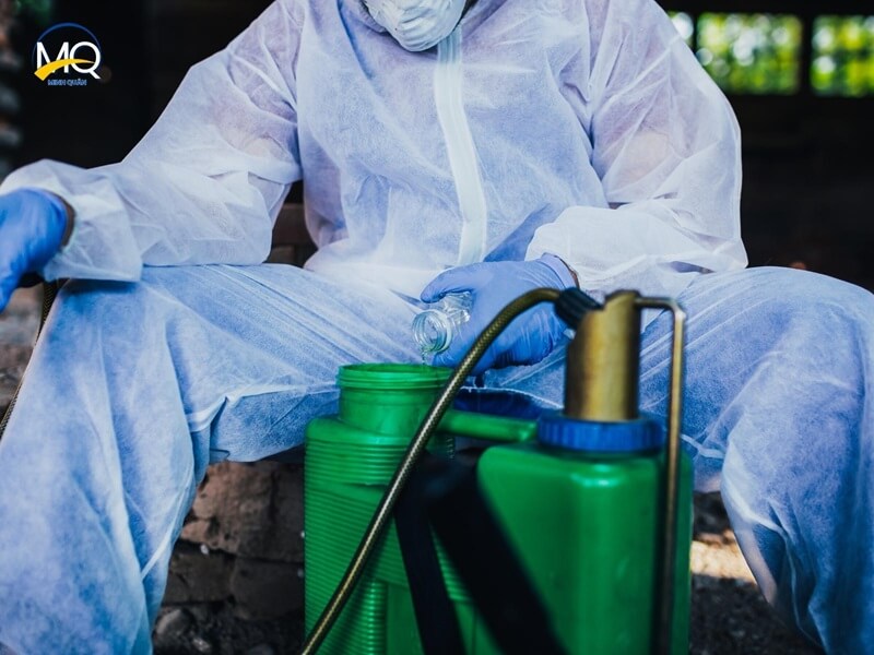 cac loai thuoc diet gian su dung