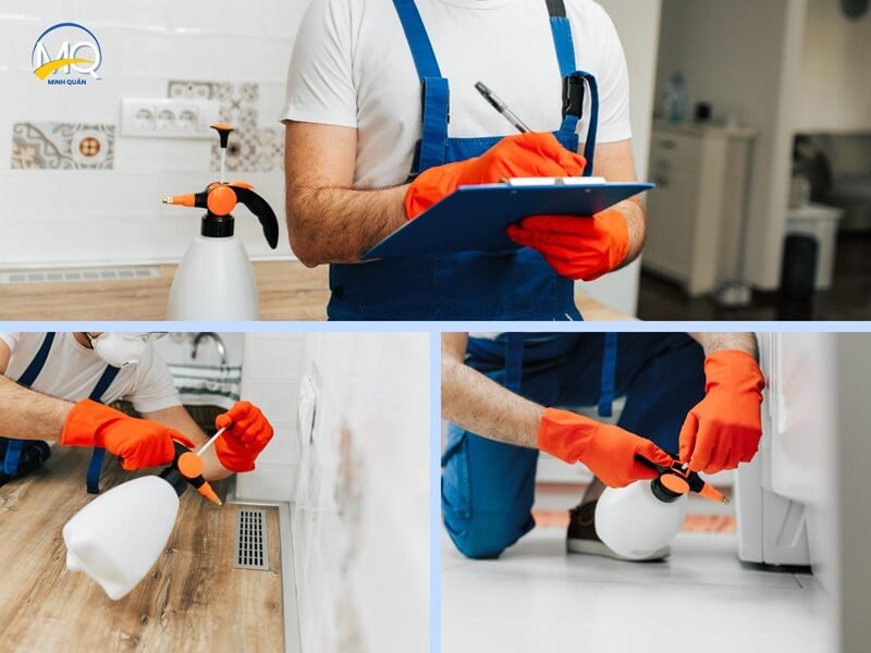 cong ty diet gian tan goc chuyen nghiep