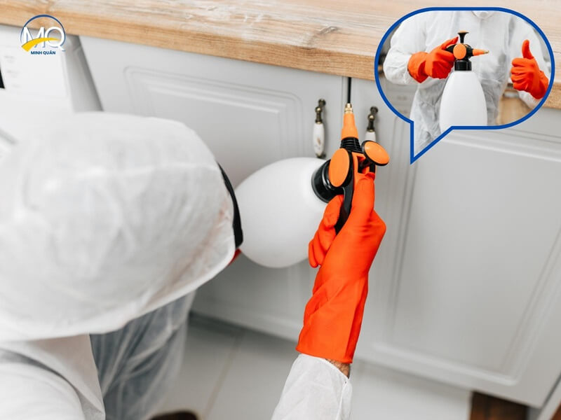 cac hang muc diet gian