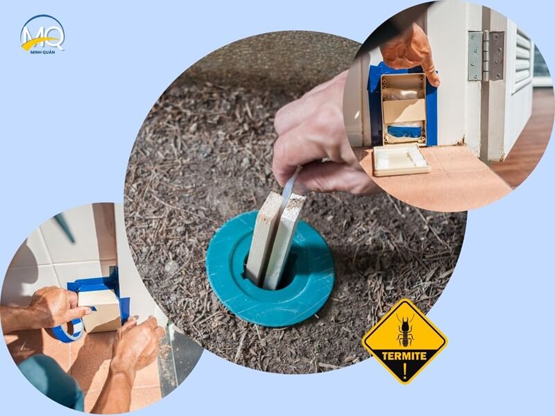 Quy trình tiến hành diệt mối với 3 bước chuyên nghiệp