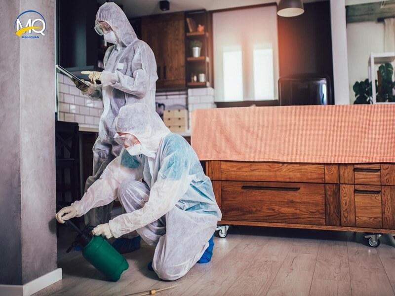 Các loại thuốc diệt mối sử dụng phổ biến