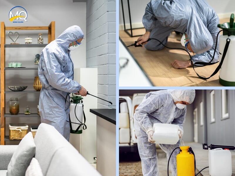 4 Phương pháp diệt mối tận gốc, an toàn