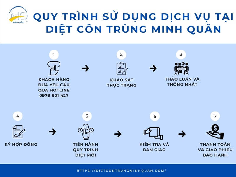 Quy trình sử dụng dịch vụ diệt mối tận gốc tại công ty Diệt Côn Trùng Minh Quân