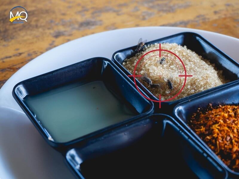 tai sao nha co nhieu ruoi