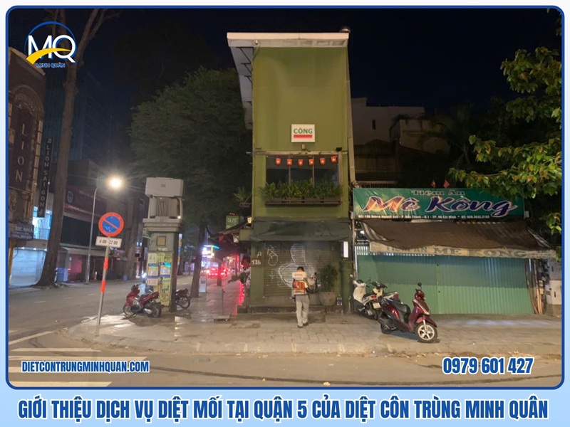 Câu hỏi thường gặp về dịch vụ diệt mối Quận 5