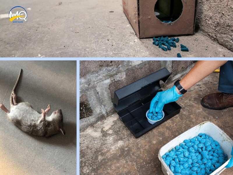 cong ty diet chuot uy tin