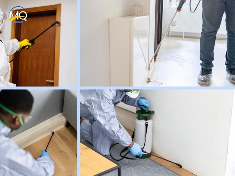 uu diem cua dich vu diet kien