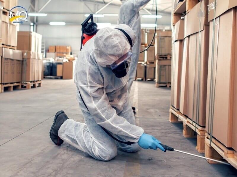 phuong phap diet kien tan goc