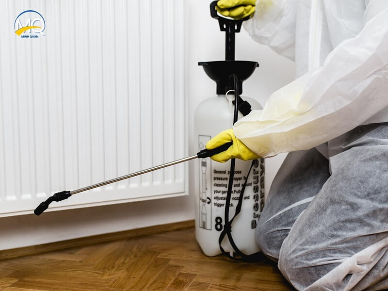 cac loai thuoc diet kien su dung