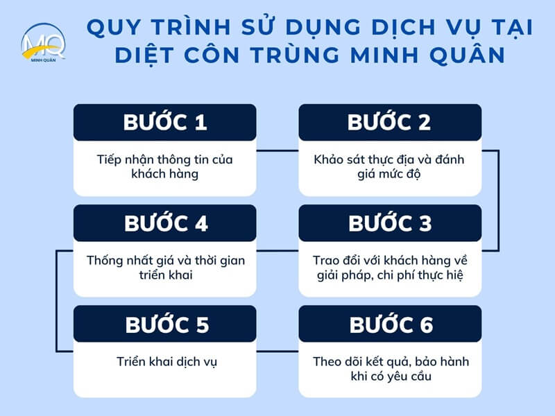 quy trinh dich vu