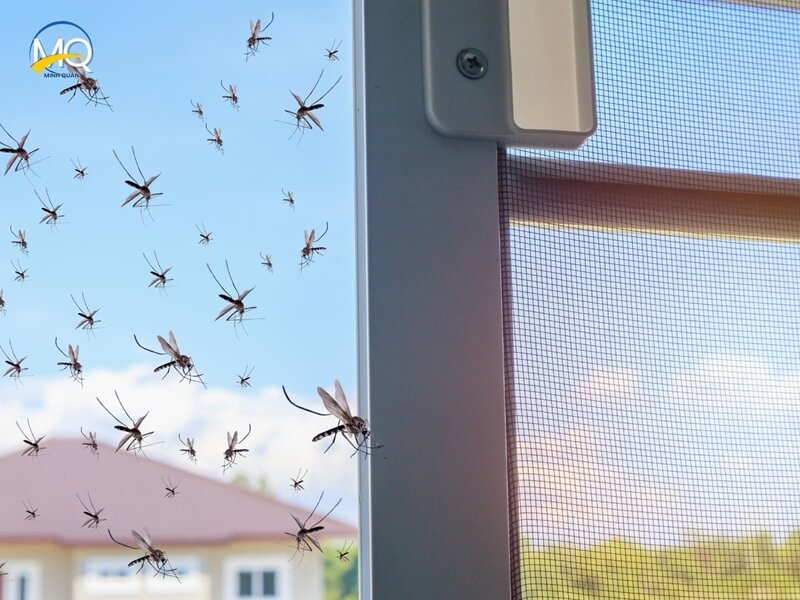 tai sao nha co nhieu muoi