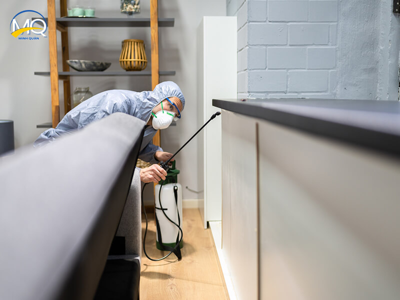 Cong ty diet moi tan goc uy tin tai quan 1