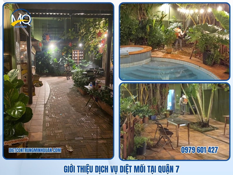 Địa chỉ công ty dịch vụ diệt mối tận gốc tại Quận 7 uy tín