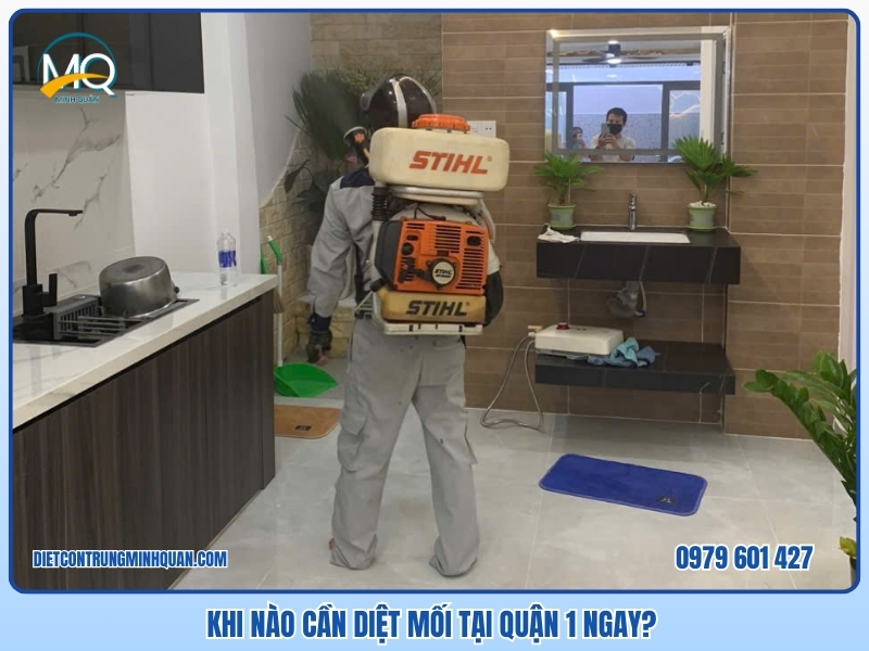 Khi nào cần diệt mối tại Quận 1 ngay