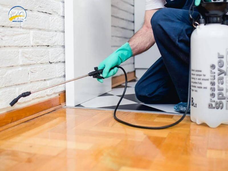 cong ty diet con trung minh quan