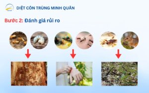 danh gia rui ro va tac hai cua con trung