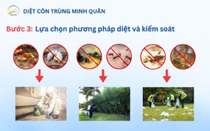 Lua chon phuong phap kiem soat va diet con trung