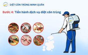 Tien hanh diet con trung