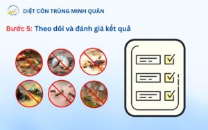 Theo doi va danh gia ket qua diet con trung