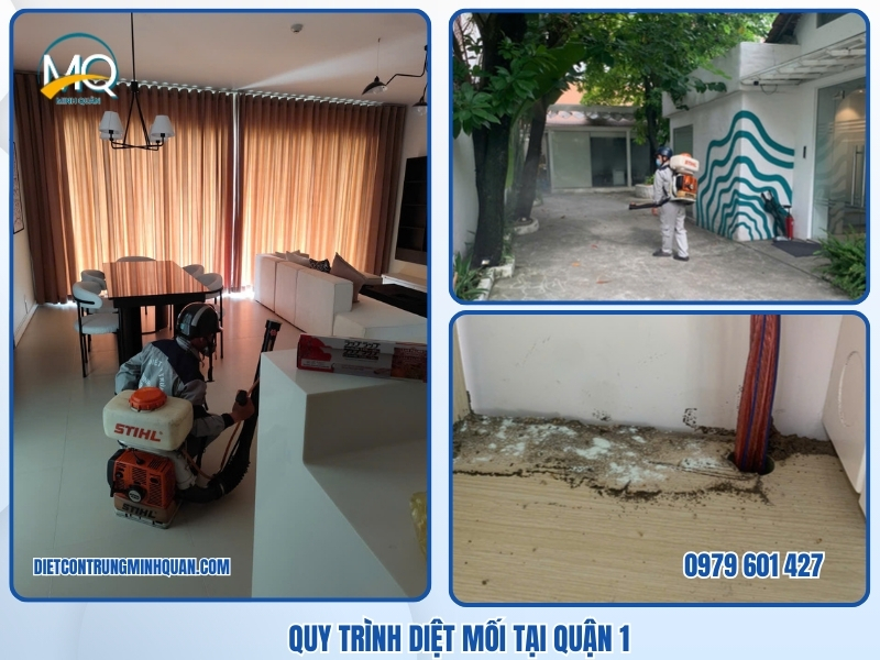 Quy trình 6 bước diệt mối tận gốc Quận 1 tại Diệt Côn Trùng Minh Quân