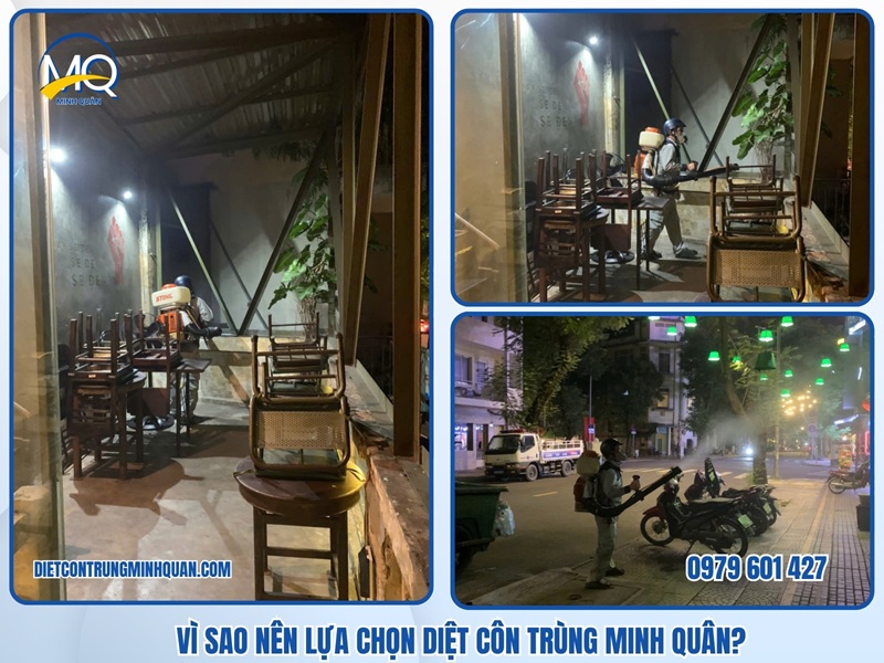 Vì sao nên lựa chọn dịch vụ diệt mối Quận 5 tại Dietcontrungminhquan.com