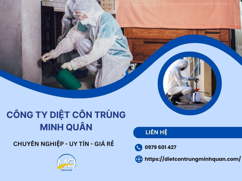 cong ty diet muoi uy tin