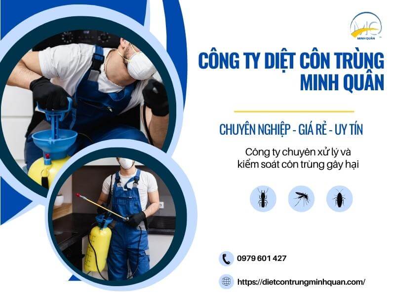 cong ty diet moi uy tin