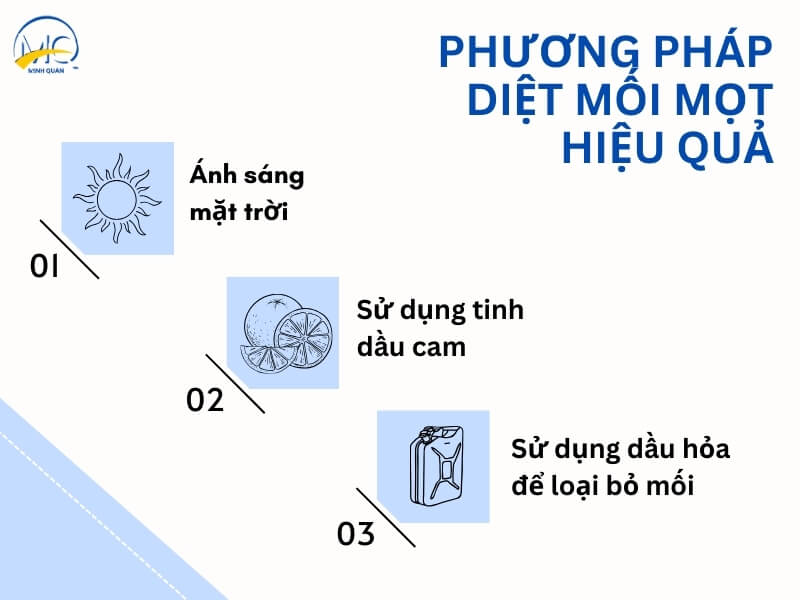 phuong phap diet moi mot hieu qua