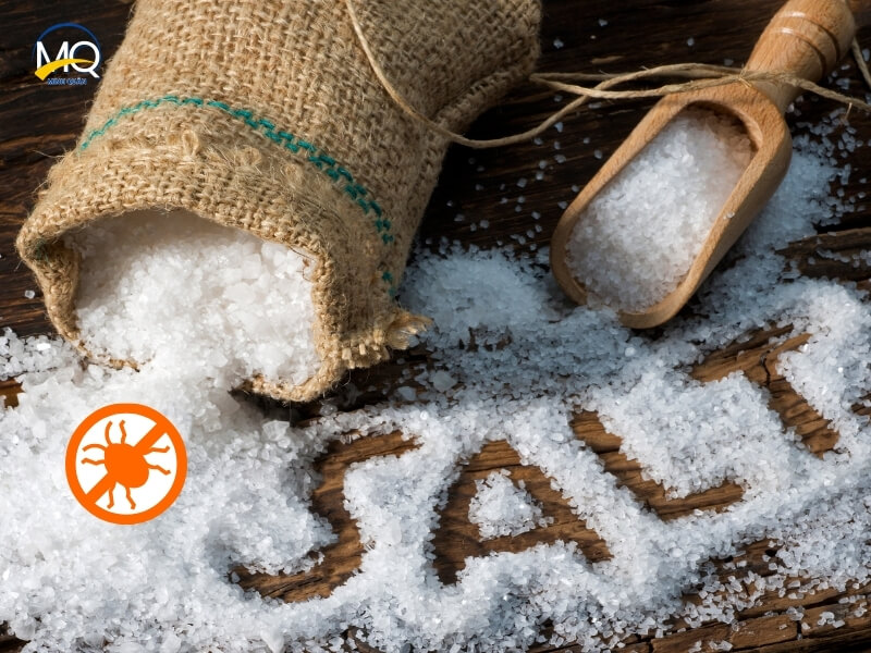 diet bo chet bang muoi