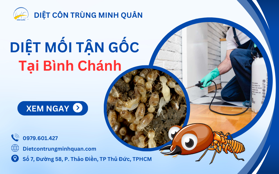 dich vu diet moi tai binh chanh