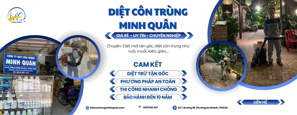 Slider công ty Diệt Côn Trùng Minh Quân TPHCM